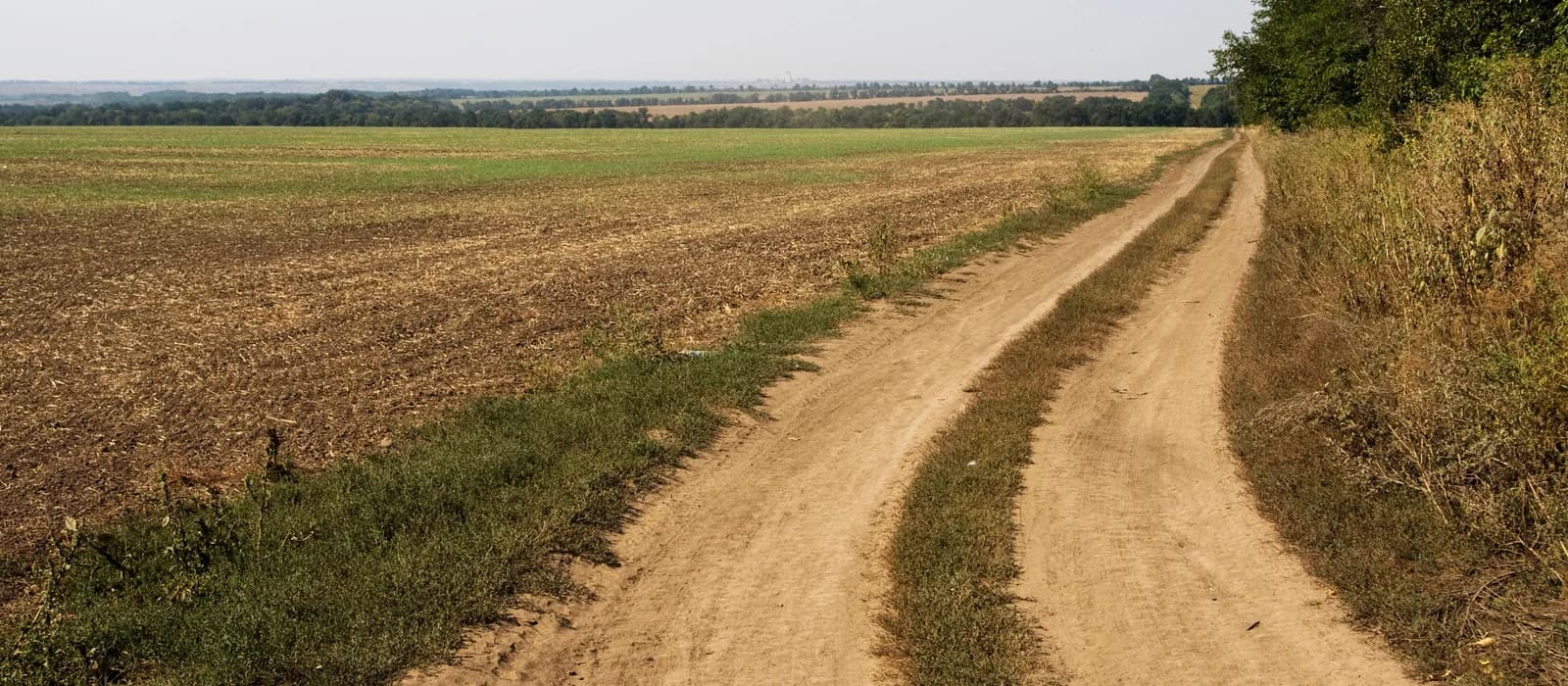 Dirt access road through open rural land