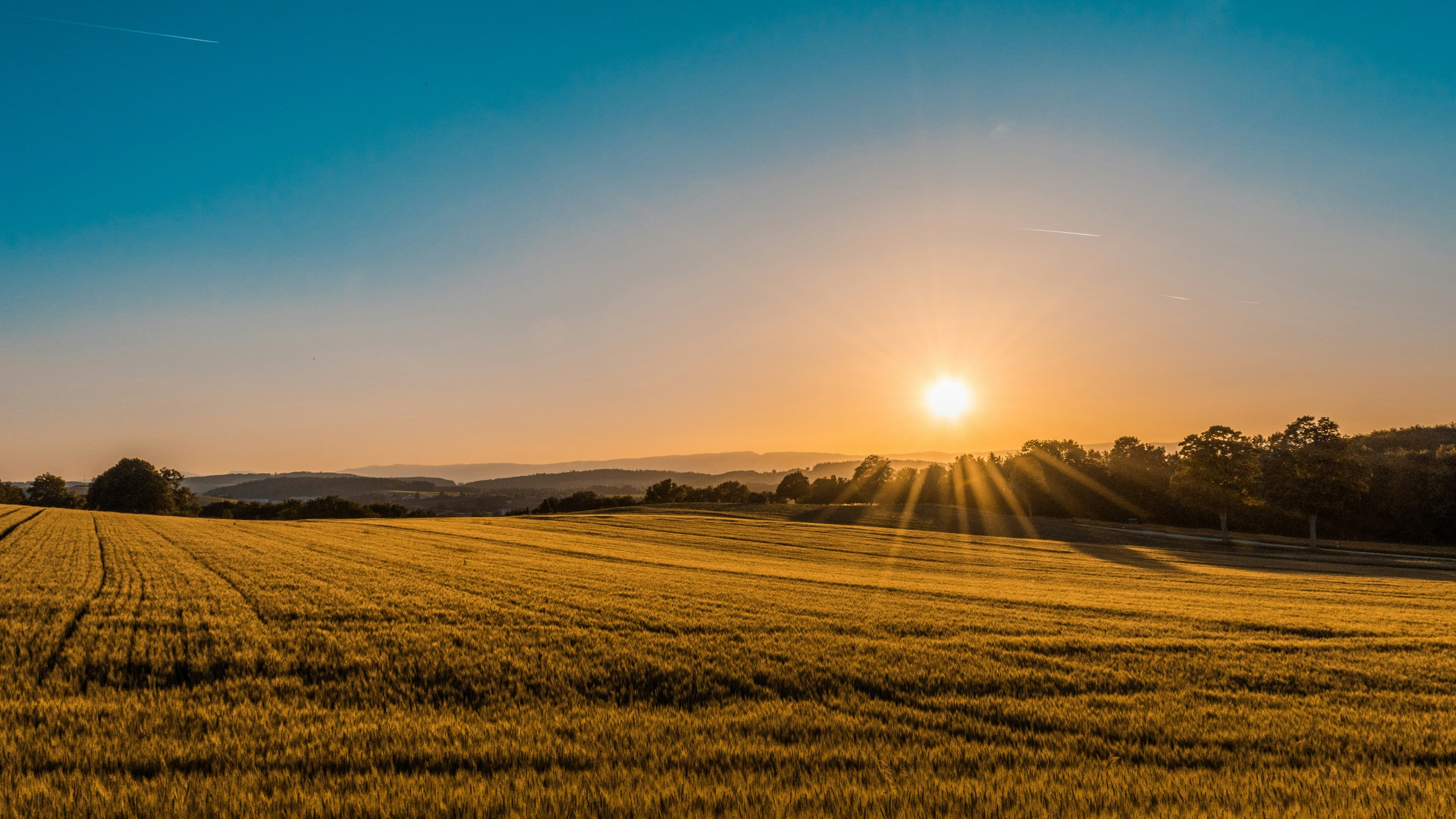 Texas hill country landscape — the kind of land AcreAgent was built to help investors acquire